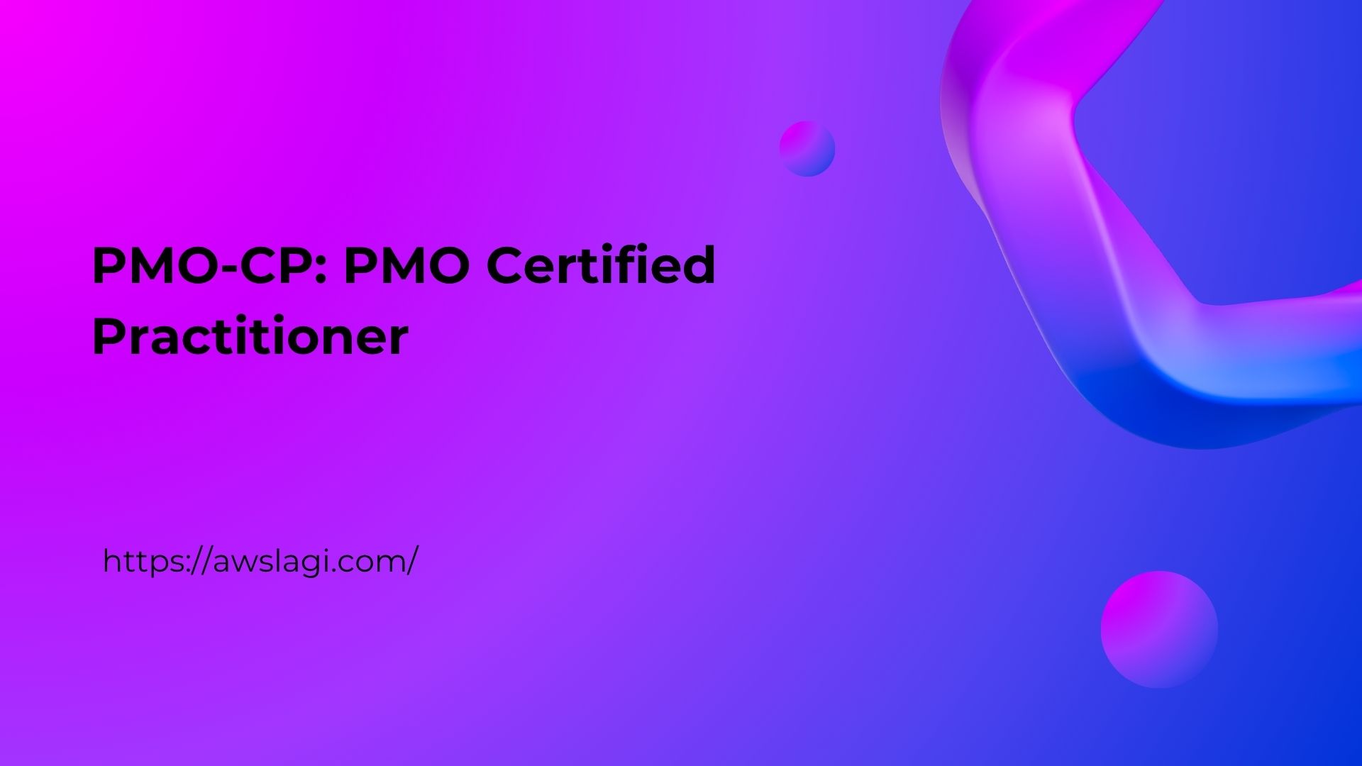 PMO CP PMO Certified Practitioner Awslagi